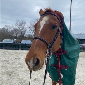 Meet your Posher, Martha-anne